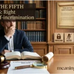 I Plead the Fifth Meaning