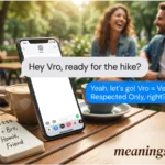 Vro Meaning in Text Messages