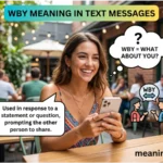 wby meaning in text