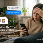 smfh meaning in text