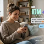 idm meaning in text